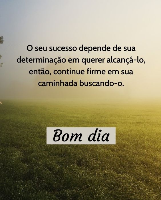 bom dia o sucesso