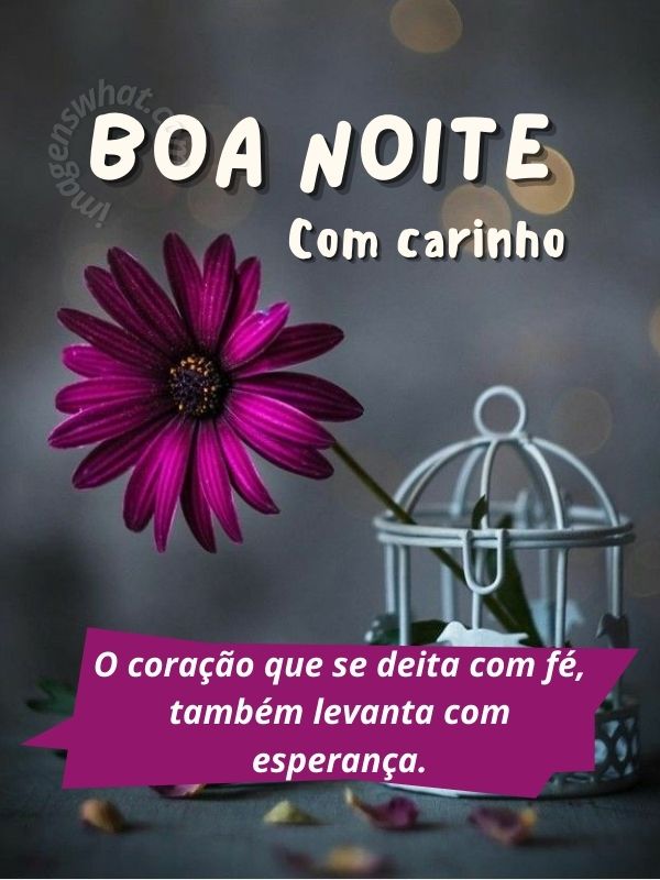 Boa noite carinhoso 