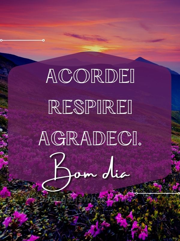 Bom dia com agradecimento - Imagens de Bom dia abençoado