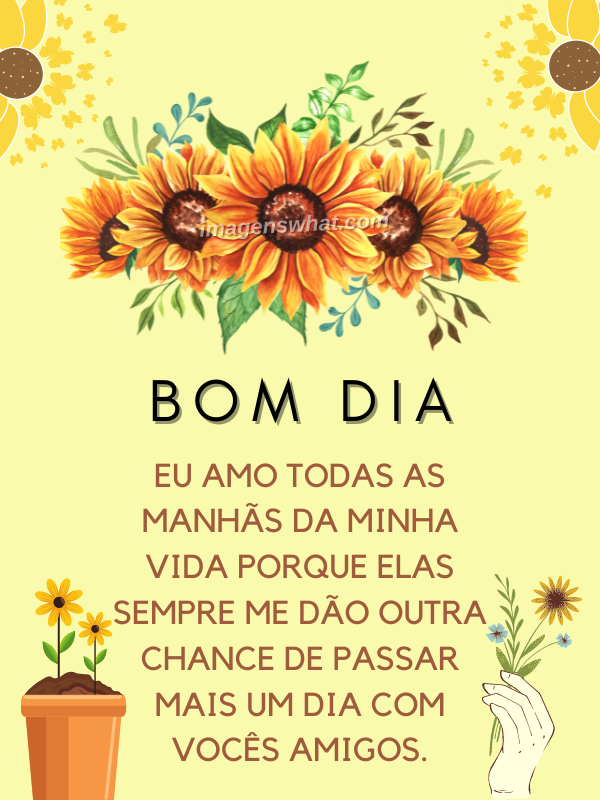 Dia do amigo - Imagens de Bom dia para Amigos