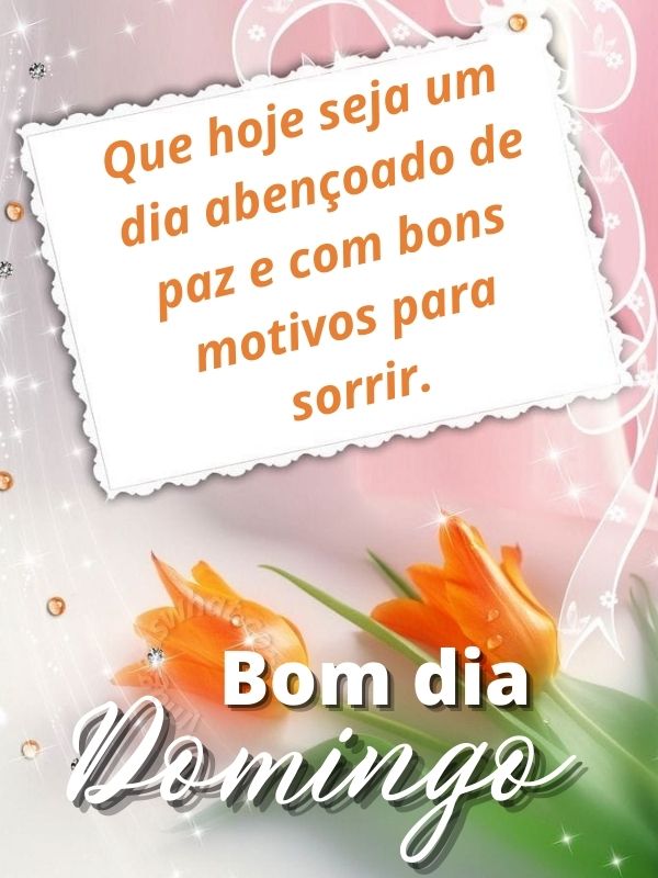 Bom domingo com Motivos para sorrir