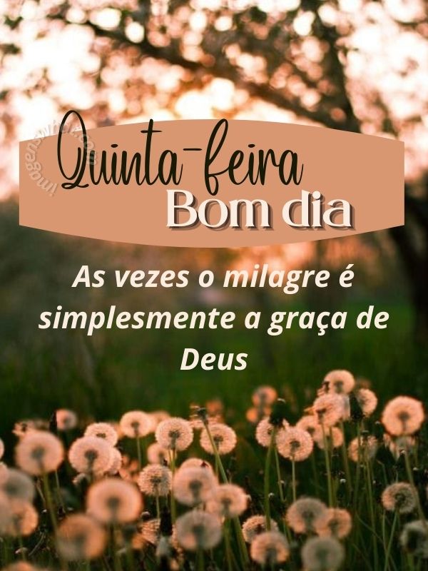 Milagre de Deus - Bom dia Quinta-feira de Paz