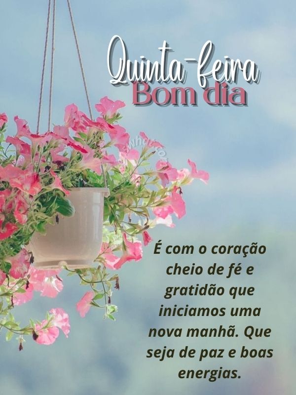 Coração cheio de fé - Bom dia Quinta-feira de Paz