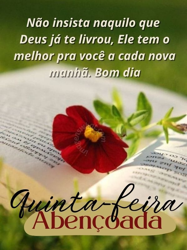 Manhã com livramento - Quinta-feira Abençoada mensagens