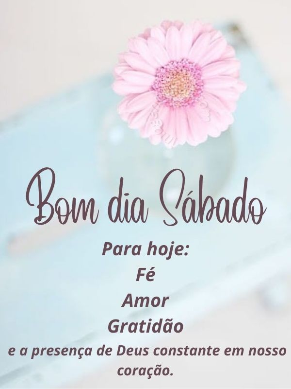 Bom dia sábado com gratidão