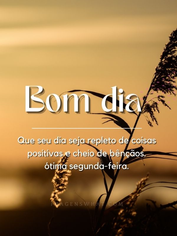 Ótima segunda-feira com positividade