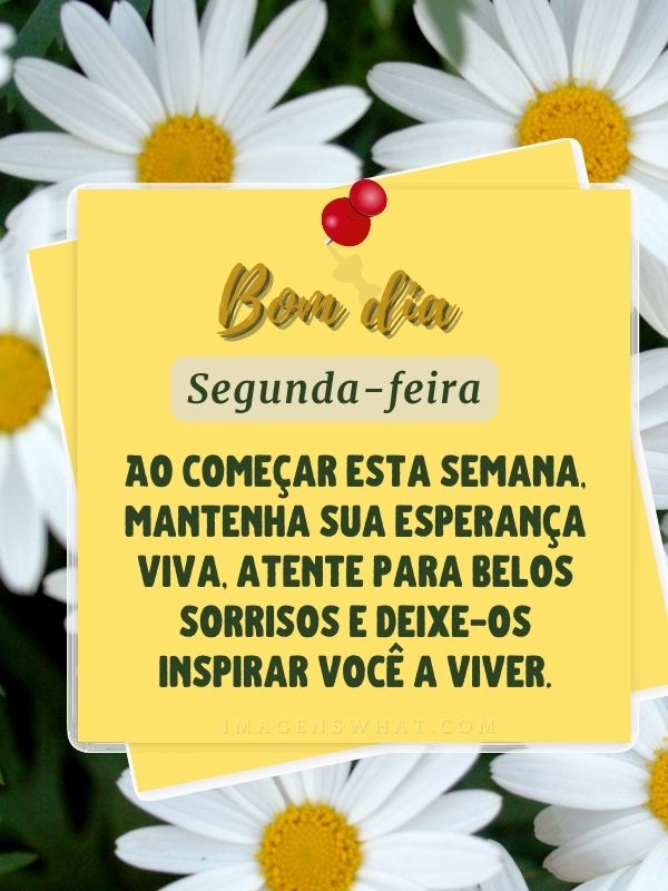 Semana com belos sorrisos - Imagens de Bom dia segunda-feira com Mensagens