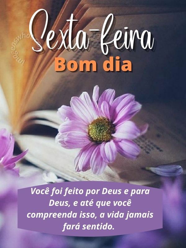 Bom dia sexta-feira com as bênçãos de Deus