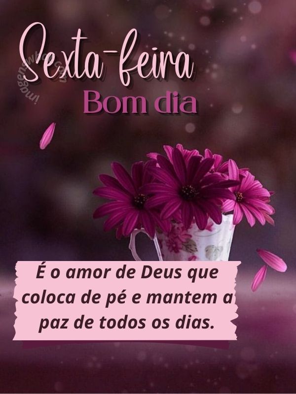 Paz para todos os dias, boa sexta-feira abençoada