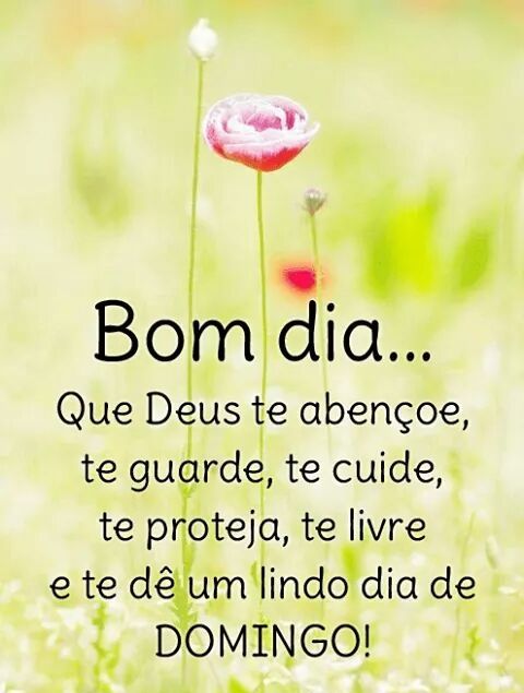 Bom dia, que Deus te guarde um lindo domingo.