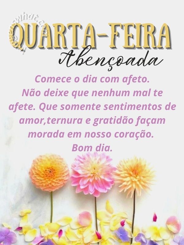 Bom dia quarta-feira de gratidão e bênçãos de Deus