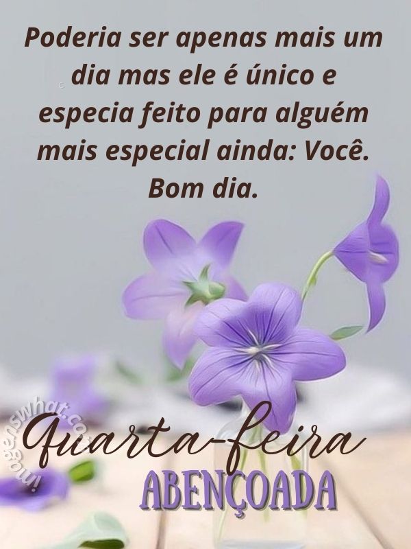 Bom dia quarta-feira especial