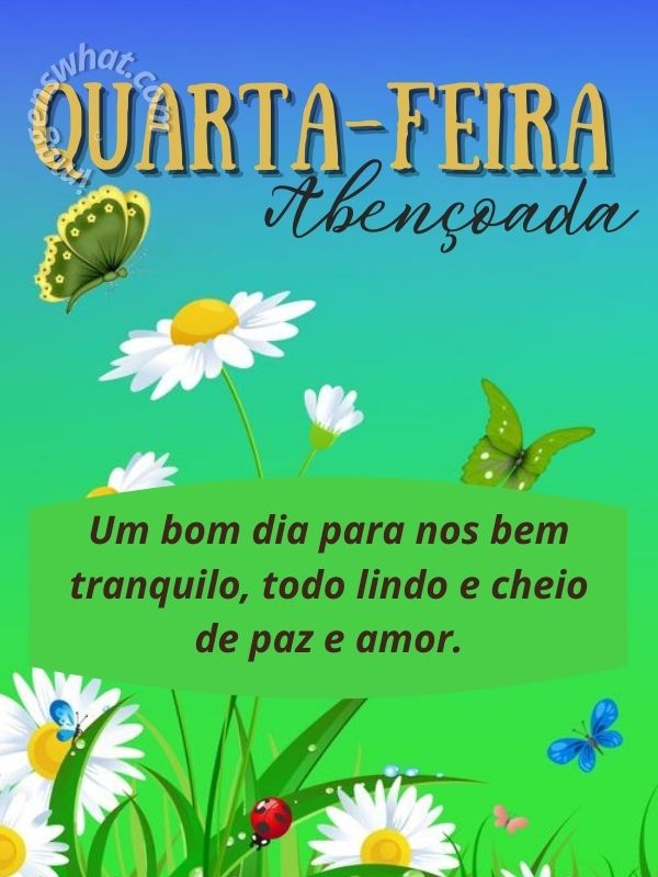 Bom dia quarta-feira com tranquilidade e amor