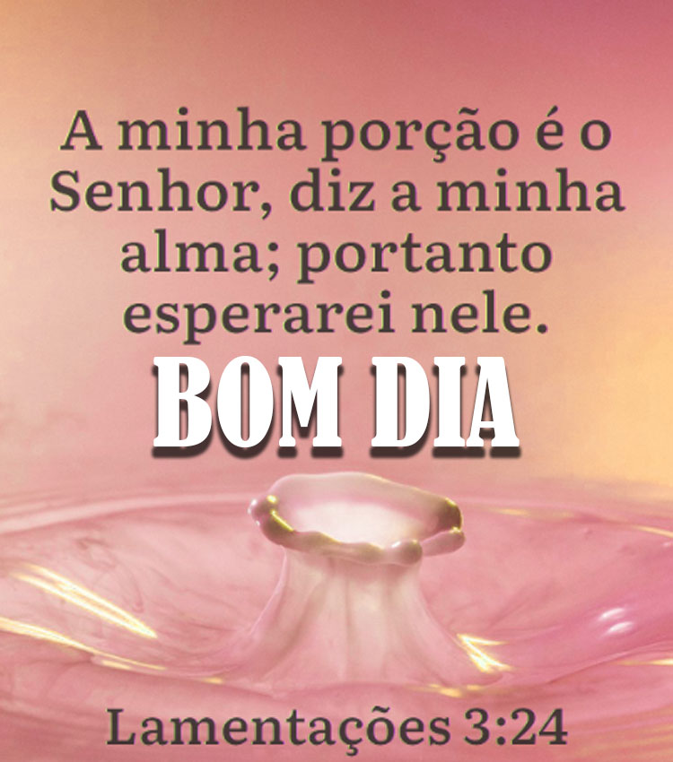 Espere no senhor, bom dia.