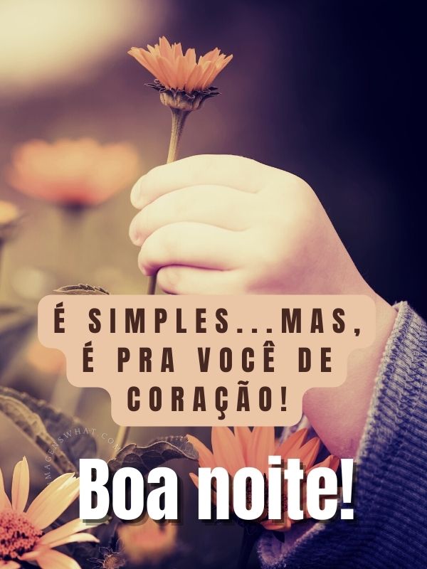 Simples mais de coação - Imagens de Boa noite com Carinho e Felicidade