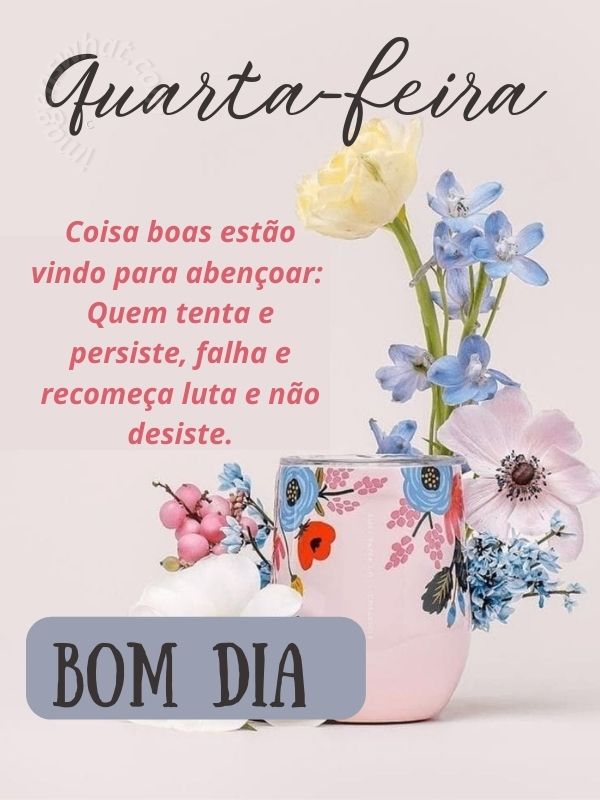 Bom dia quarta-feira com elegria e recomeço