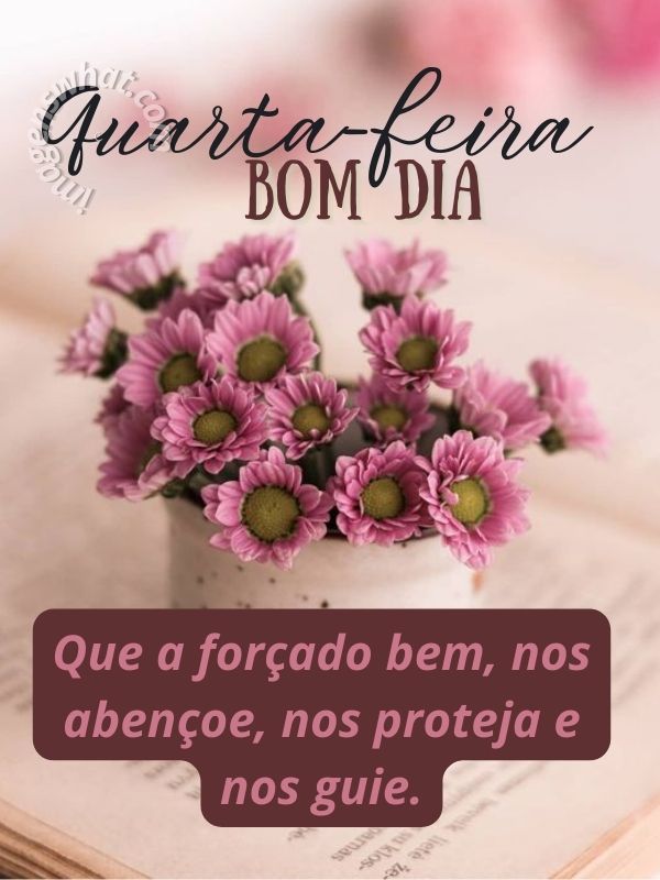 Imagens de Bom dia Quarta-feira com Mensagens e flores