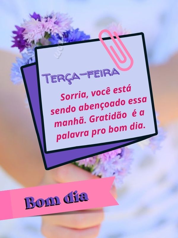 Terça-feira com Gratidão e sorrisos 