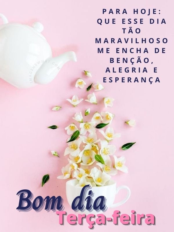 Bom dia terça-feira cheia de esperança e alergia