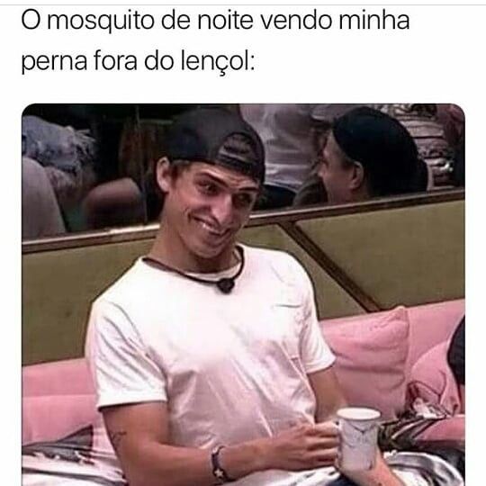 A felicidade dos mosquitos