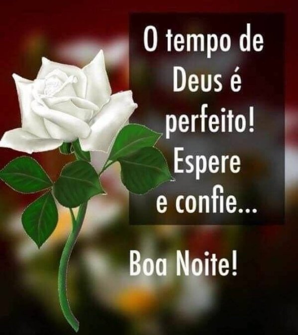 Apenas confie no tempo de Deus. Boa noite