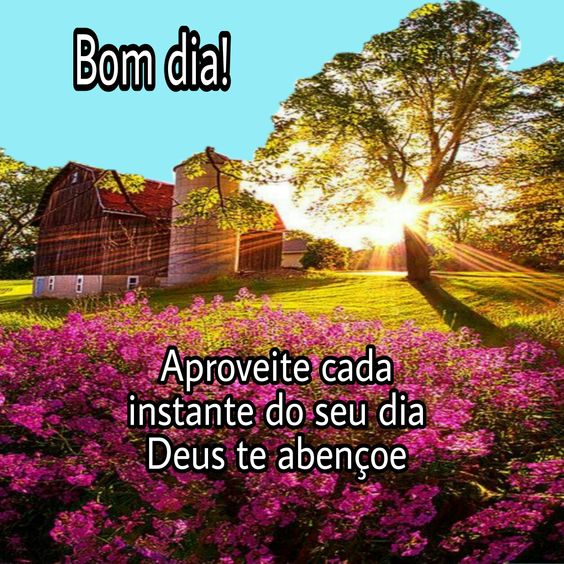 Bom dia lindo e com felicidade