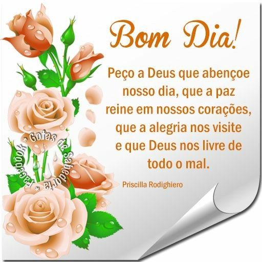 Bom dia com flores e a palavra de Deus