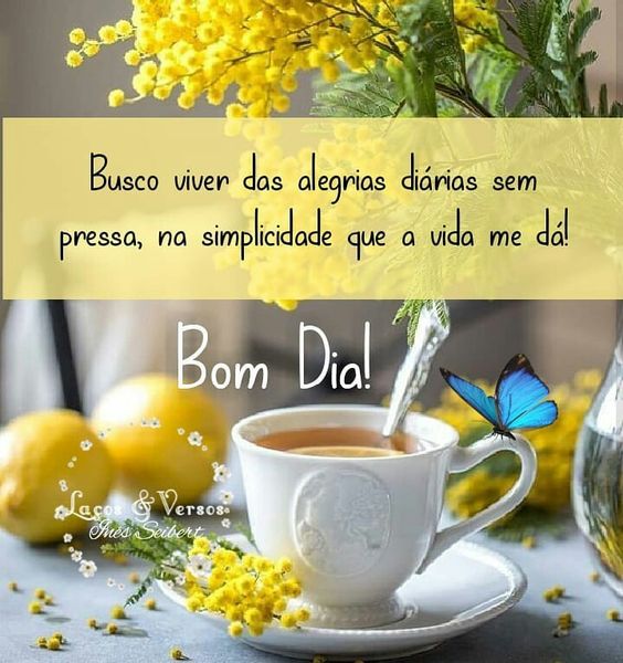 Bom dia com flores e alegria