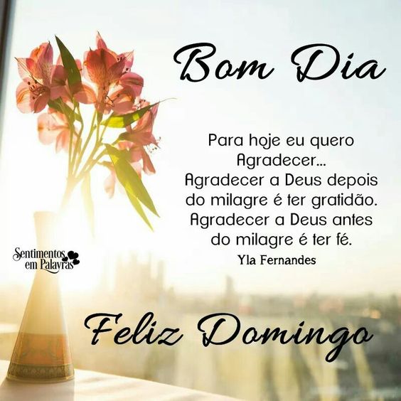 Bom dia Domingo quero agradecer