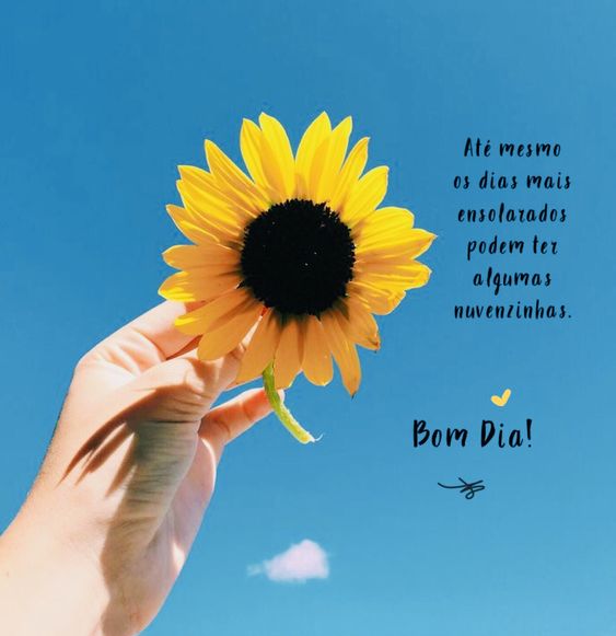 Bom dia seja como a flor do gira sol