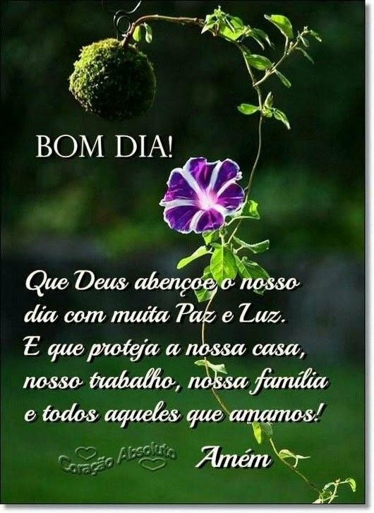 Bom dia com muita paz e luz