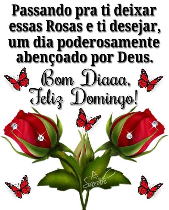 Bom dia domingo com rosas