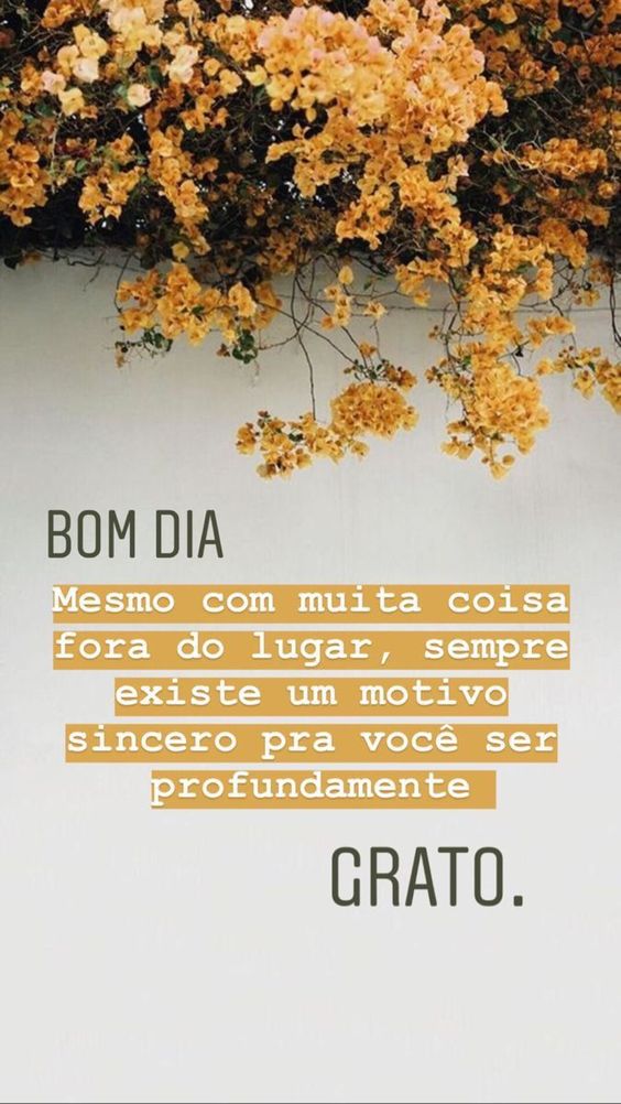 Bom dia para você com gratidão