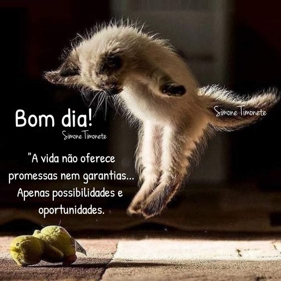 Bom dia Reflexão de vida