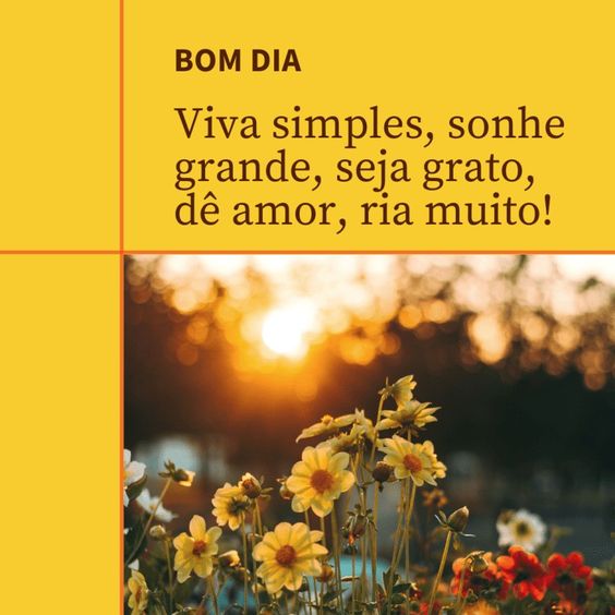 Bom dia com flores e simplicidade