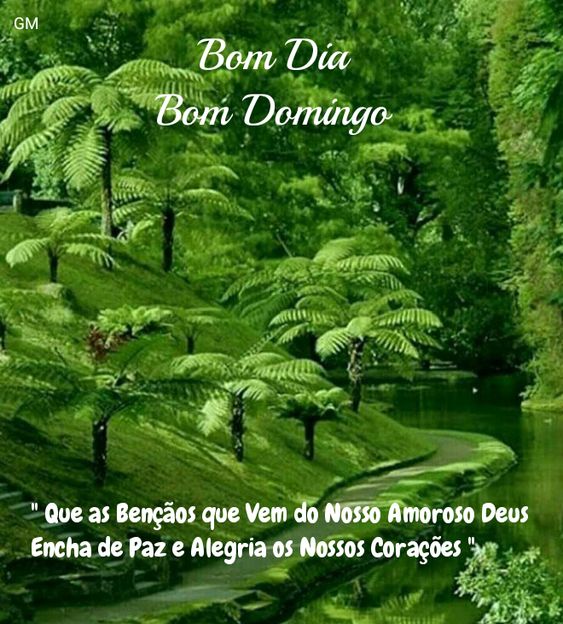 Bom dia bom domingo