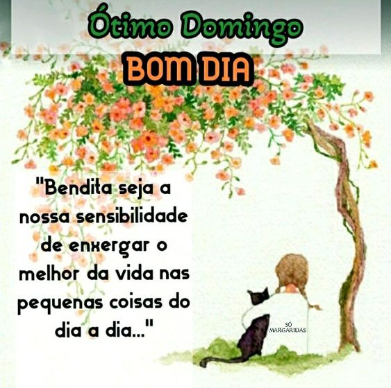 Ótimo Domingo bom dia