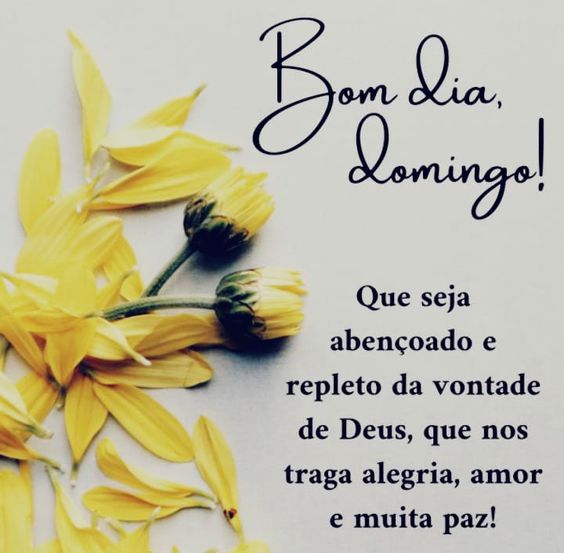 Bom dia domingo muita paz