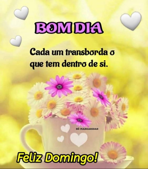 Bom dia de si Domingo leia Mensagem de Feliz Domingo Abençoado e Bom dia!