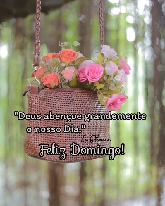 Deus abençoe feliz domingo e leia Mensagem de Feliz Domingo Abençoado e Bom dia!