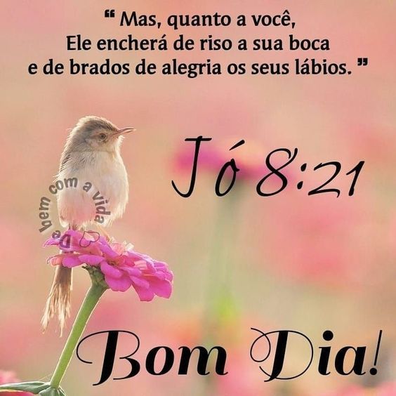 Bom dia reflexão bíblica Jó 8:21