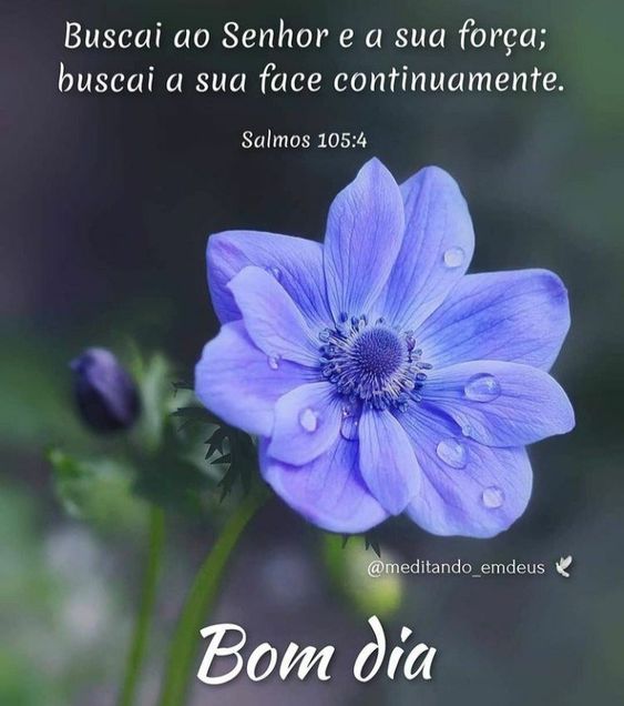 Salmos 105:4 bom dia