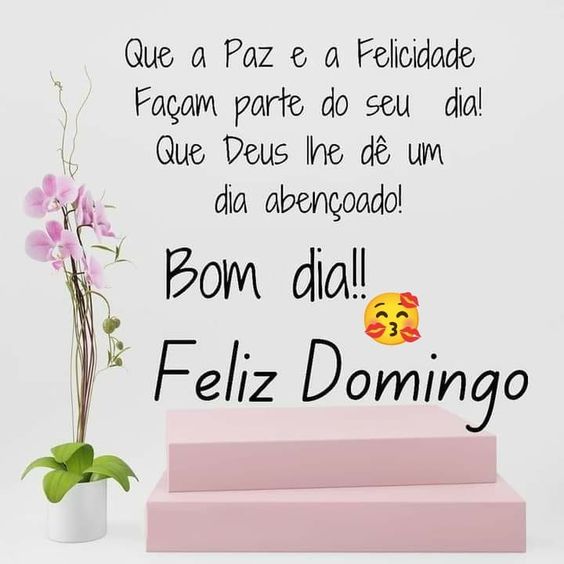 Paz e felicidade domingo