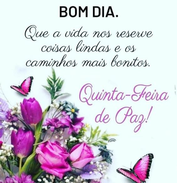 Bom dia Quinta-feira de paz