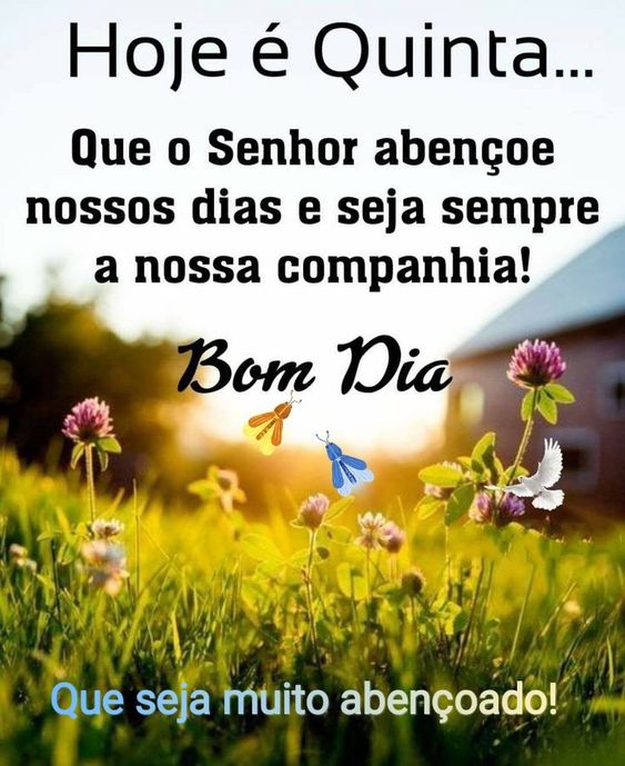 Hoje é Quinta-feira bom dia