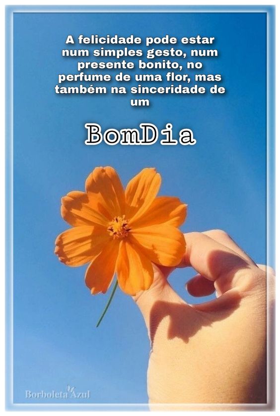 Bom dia no perfume de uma flor