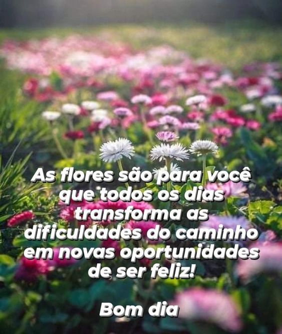 Bom dia as flores são para você