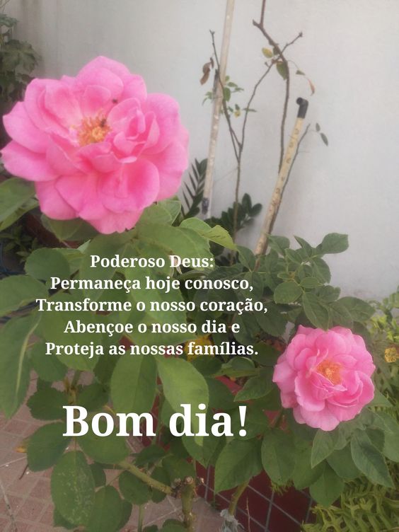 Poderoso Deus bom dia