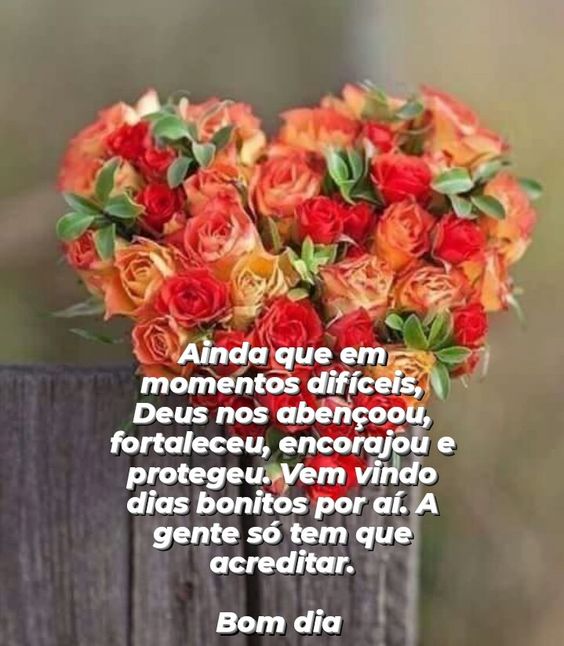 Bom dia com flores Deus nos abençoou