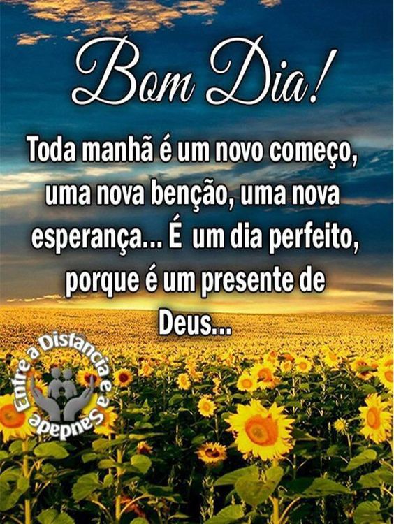 Bom dia toda manhã